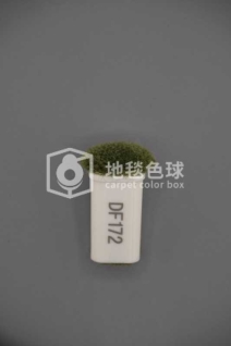 DF172