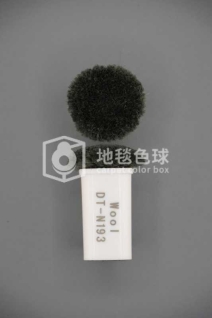 DT N193