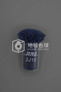 ARS 2J16