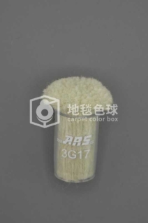 ARS 3G17