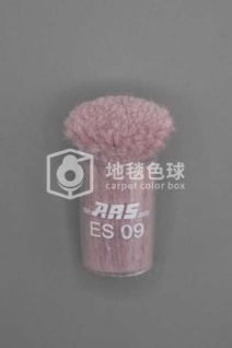 ARS ES09