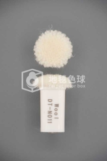 DT N011