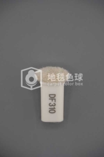 DF310