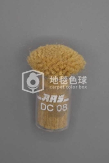 ARS DC08