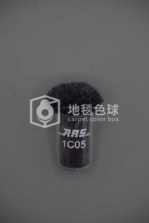 ARS 1C05