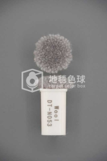DT N053