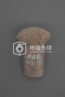 ARS AG10