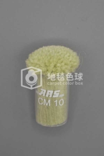 ARS CM10
