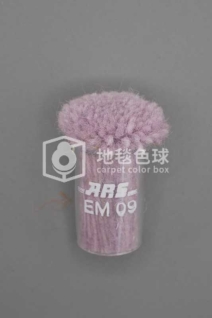 ARS EM09
