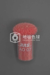 ARS AO07