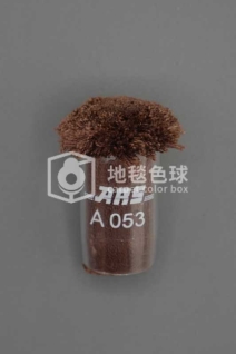ARS A053