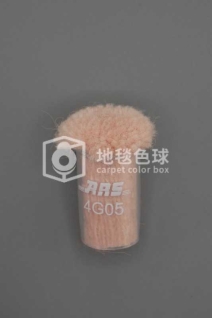 ARS 4G05