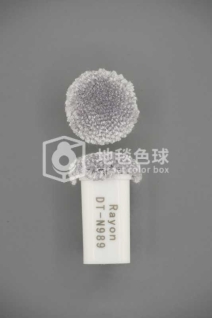 DT N989