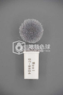 DT N404