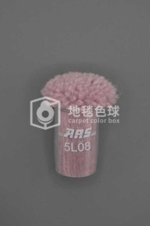 ARS 5L08