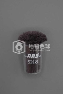 ARS 5I18