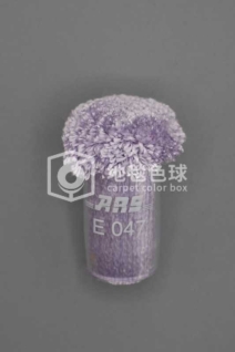 ARS E047
