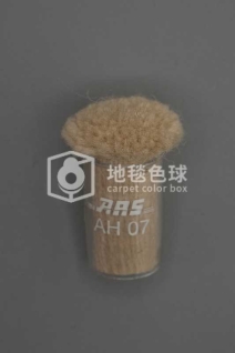 ARS AH07