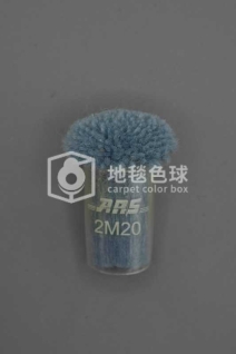 ARS 2M20