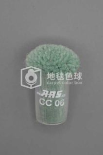 ARS CC06