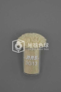 ARS 3G13