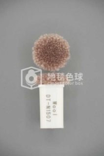 DT N1507