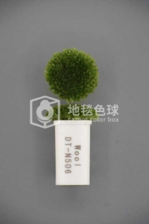 DT N506