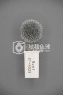 DT N029