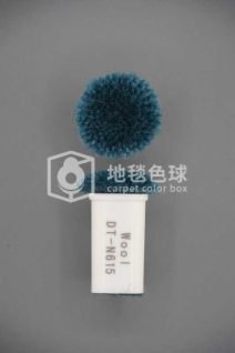 DT N615