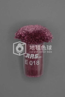 ARS E018