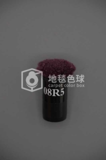 08R5