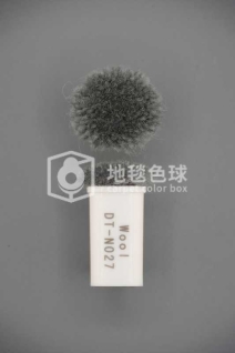 DT N027