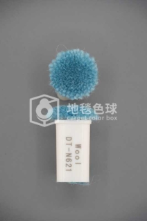 DT N621