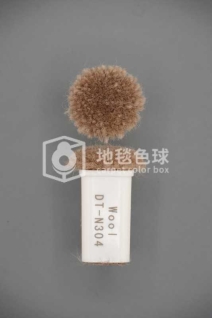 DT N304
