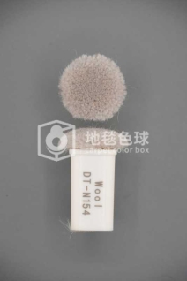 DT N154