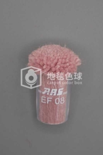 ARS EF08