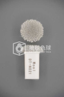 DT N021