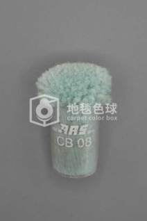 ARS CB08