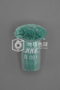 ARS B091
