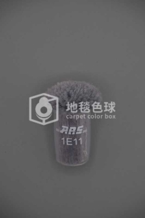 ARS 1E11