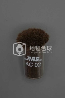 ARS AC02