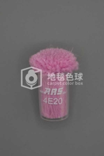 ARS 4E20
