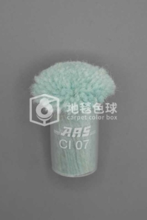 ARS CI07