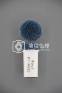 DT N450