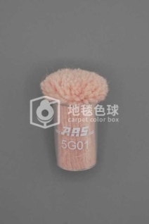 ARS 5G01