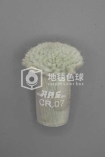 ARS CR07