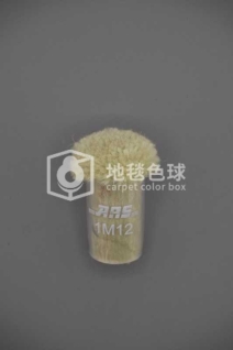 ARS 1M12