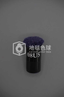 08U5