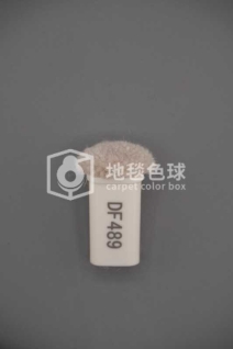 DF489
