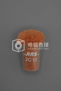 ARS 2C10